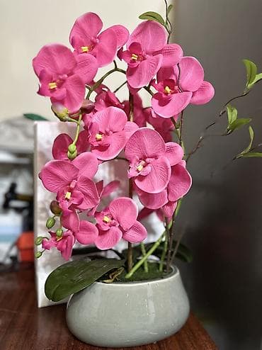 декоративная зелень: Искусственные цветочные композиции в декоративных контейнерах. - — 5