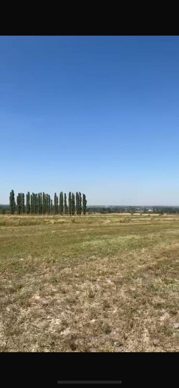 сниму дом на иссык куле: 120 соток, Для сельского хозяйства, Договор долевого участия, Договор купли-продажи — 4