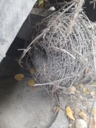 решетка забор фото: Егоза тикенектүү зым, Бухта, Узундугу: 150 м, Диаметри: Башка диаметр, Жаңы — 1