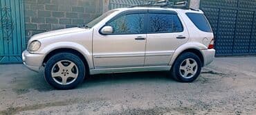 купить антифриз бишкек: Mercedes-Benz M-Class: 2002 г., 5 л, Автомат, Бензиновая, Внедорожник — 6