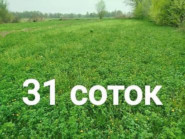 Недвижимость: 31 соток, Для строительства, Красная книга — 1