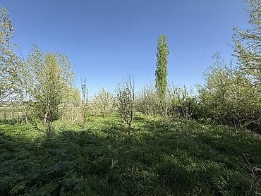 дешово продам: Сарай сатылат Беловодскийдин усту жагында алма бактары бар алдында — 3