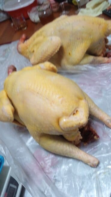 где купить фазанов для разведения: Продаются индюки на мясо. Выращенные на свободе в поле. Корм составлял — 6