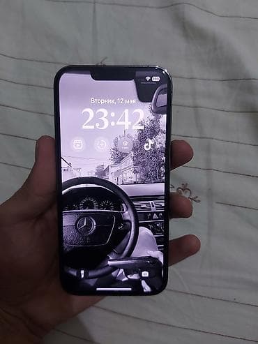 IPhone 13 Pro, Б/у, 256 ГБ, Black Titanium, Защитное стекло, Чехол, 100 %
