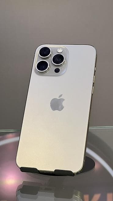 nintendo 3ds cfw: IPhone 15 Pro Max, 256 ГБ, Серебристый, Зарядное устройство, Защитное стекло, Чехол, В рассрочку, 83 % — 1