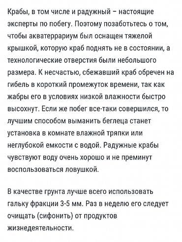 ракы: Радужные крабы (картины на фото) для содержания в — 4