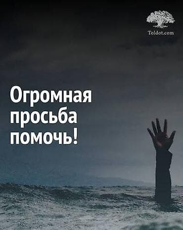 даром: Просим помочь неравнодушных людей 🙏 Здравствуйте! У нас в семье двое — 1