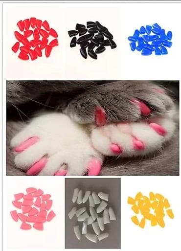 древесный наполнитель: Силиконовые антицарапки. Многие на просторах интернета сталкивались — 2