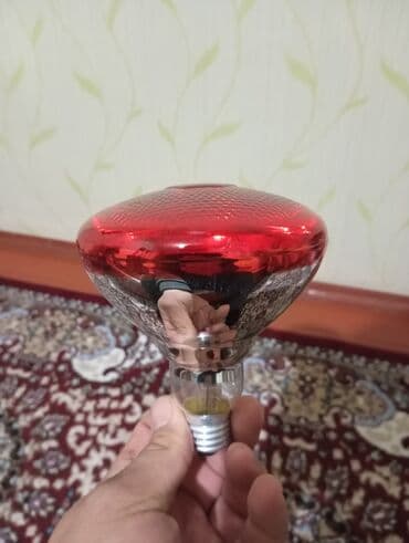 дополнительный свет: Инфракрасная лампочка — 2