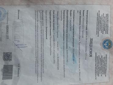 ремонт швейных машин на дому бишкек: Бус на заказ сабфувер есть bass мощный Чункурчак Аларча Кегети — 2