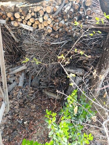 спец одежда зимний: Дрова Тополь, Платная доставка — 1