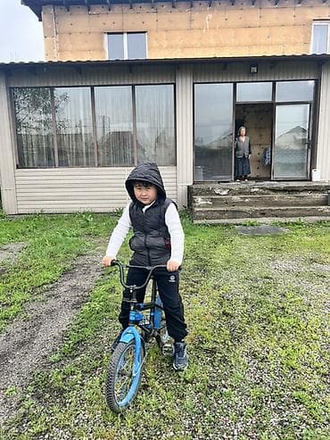 батут каркасный: Детский велосипед, 2-колесный, 4 - 6 лет, Для мальчика — 2