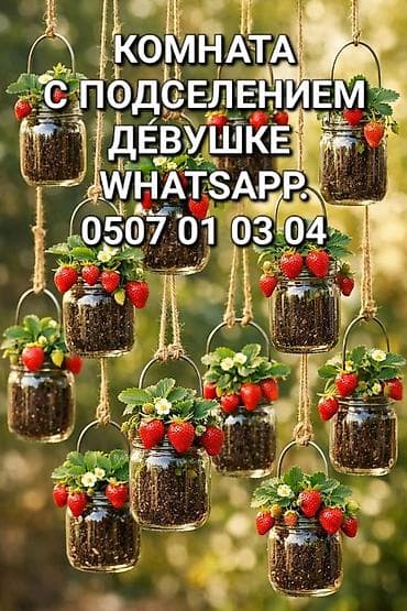 17 м², Эмереги менен