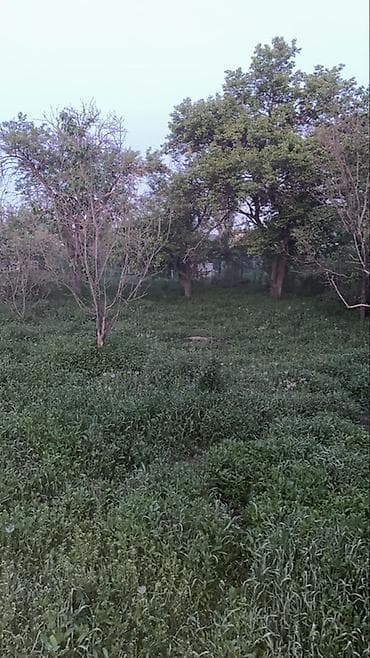 10 га: Продаётся земельный участок с домом и хозяйственными застройками!Три — 9