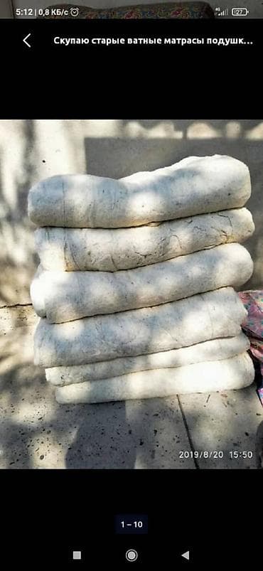 животные для дома: Покупка старой ваты, ватных матрасов Покупка старой ваты, ватных — 10