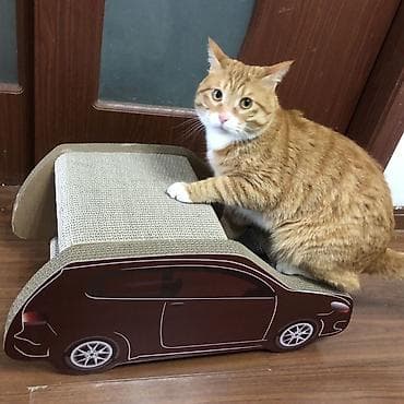 лежанки для котов: Когтеточка-лежанка для кошек «Автомобиль» - Функции: когтеточка — 4