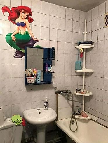 Батирлер: 1 бөлмө, Кыймылсыз мүлк агенттиги, Чогуу жашоосу жок, Толугу менен эмереги бар — 3