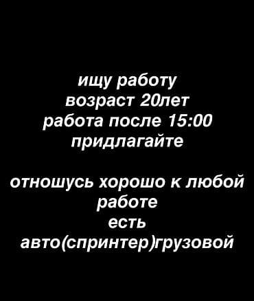 Услуги частного исполнителя с грузовым авто (Sprinter) - Возраст: 20