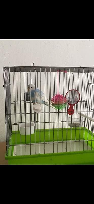 Клетка для волнистого попугая с аксессуарами - Просторная