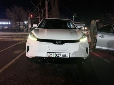 автомаш: Weltmeister EX5, 2020 г., 270000 км, Передний, В наличии — 6