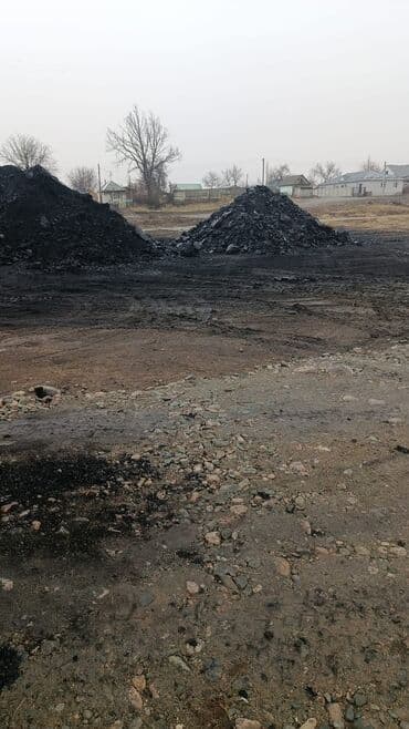 4 тешик: Ford Focus: 2004 г., Седан — 6