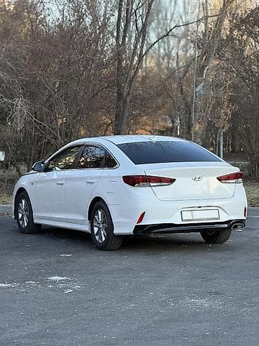Ковролин: Hyundai Sonata: 2018 г., 2 л, Автомат, Газ, Седан — 3