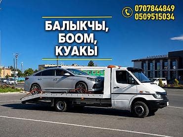 машинка для животных: С лебедкой, С манипулятором, Со сдвижной платформой — 1
