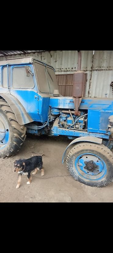 кабина комбайн: Трактор с комплектом сельхознавески и прицепом. 87 года акум новый — 9