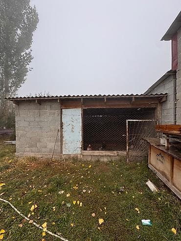 сдаю столовой: Село Кайырма (верхний)Айдарбеков продаю дом 5ком с участком 7.5 соток — 4