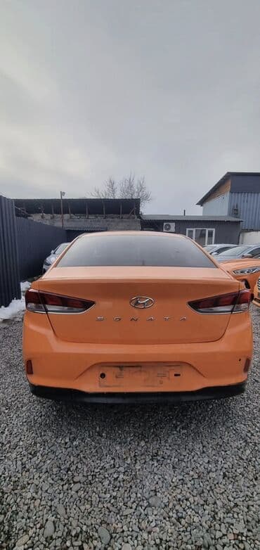 гдз русский язык 3 класс даувальдер никишкова ответы упражнение 3: Hyundai Sonata автоунаасы узак мөөнөткө арендага берилет, Минимальный — 7