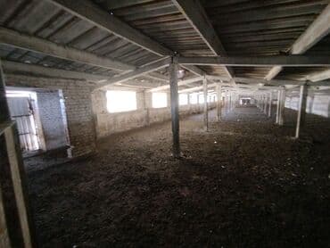 батир издейм: Продаю Кошара, 1700 соток, Действующий, С оборудованием, Электричество — 6