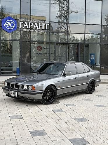 bmv е34: BMW 5 series: 1994 г., 4.6 л, Механика, Бензин, Седан — 1