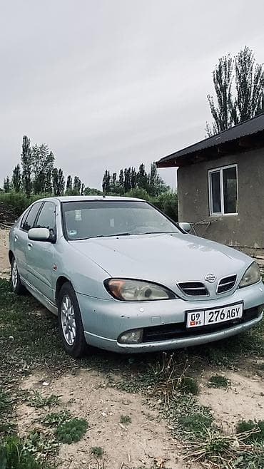 степ эреф 1: Nissan Primera: 2001 г., 1.8 л, Кол менен иштөөчү, Бензин, Хетчбек — 3