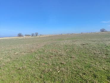 жер участак бишкек: 485 соток, Айыл чарба үчүн — 7