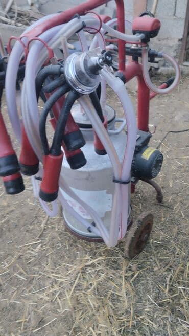 Продаю Электрический доильный аппарат на тележке турецкий - Тип