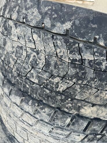 машина ман: Шины R 22,5, Всесезонная, Б/у, Комплект, Грузовики/Автобусы, Германия, Kama — 2