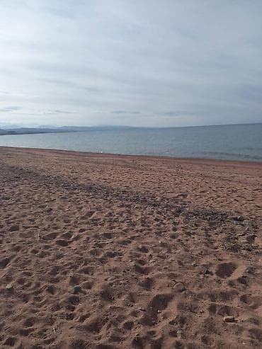 Жер тилкелери: 3000 соток, Курулуш — 3