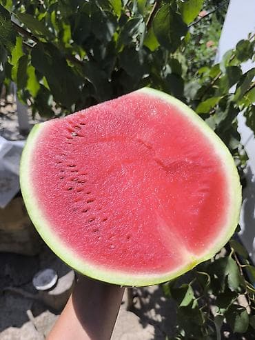 куплю комнату в бишкеке: Комната берилет бир кызга 6 микрорайон — 1