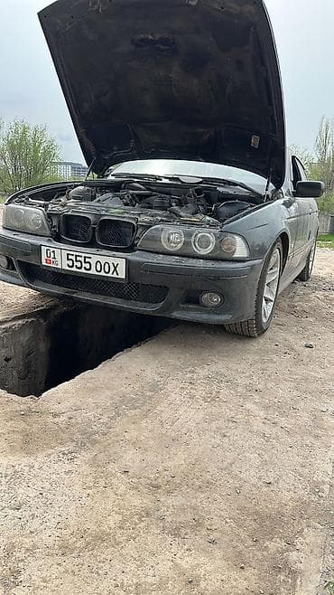 bme e39: BMW 5 series: 2002 г., 2.5 л, Автомат, Бензин, Седан — 3