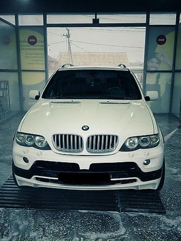 vauxhall vx220: BMW X5: 2005 г., 4.8 л, Автомат, Бензин, Внедорожник — 6