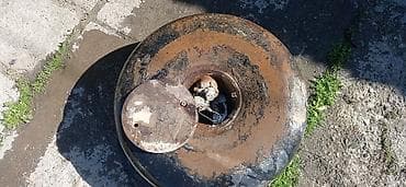 багаш: Баллон тороидальный для ГБО + редуктор/испаритель - Тип баллона — 1