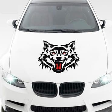 наклейка машин: Все виды наклейки на автомобиль любой сложности, брендирование — 1