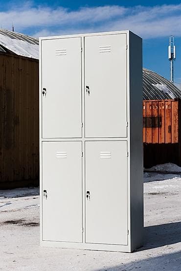 Окна и комплектующие: Шкаф для раздевалки, Железо — 2