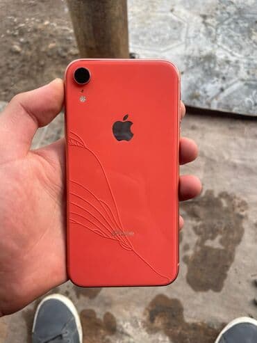 IPhone Xr, Б/у, 64 ГБ, Коралловый, Зарядное устройство, Чехол, 77 %