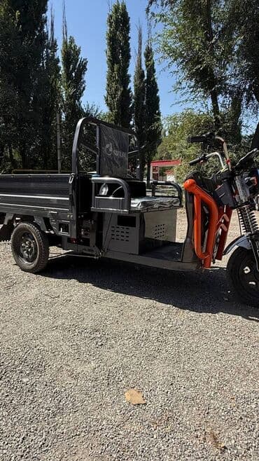 купить картинг в бишкеке: *ГИБРИД* Грузовой электротрицкл Sonlink (бензин+электро) Длина кузова — 2