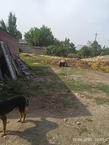 Жер тилкелери: 33 соток, Курулуш, Кызыл китеп — 1