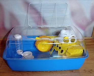 лоток для животных: Террариумы-клетки для хомячков, крыс, песчанок, мышей, морских свинок — 1