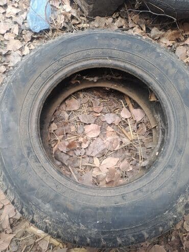 шины на ниву r15: Шины 215 / 65 / R 15, Зимняя шипованная, Б/у, Комплект, Легковые, Nokian — 1