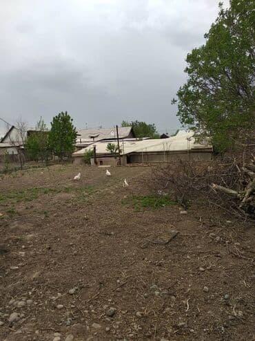 куплю дом новапакровка: Дом, 120 м², 4 комнаты, Собственник — 10