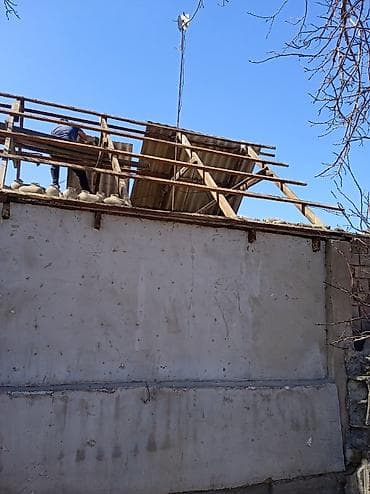 дрова: Услуги по валке и обрезке деревьев, расчистке участка - Спиливание — 3